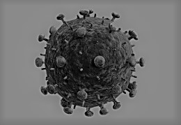 UCD Centre for Experimental Pathogen Host Research